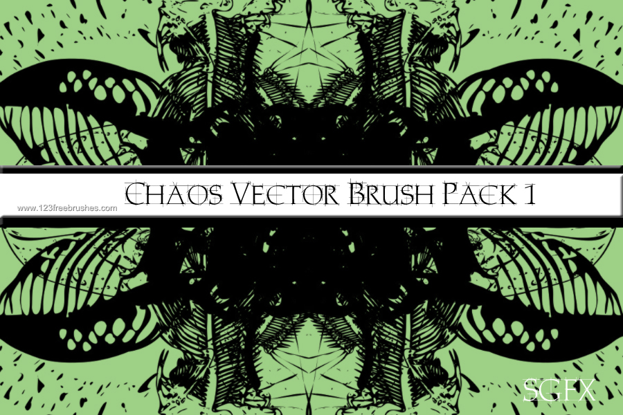 Chaos Vector