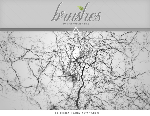 download brush crack photoshop cs6