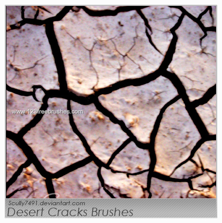 Desert Cracks