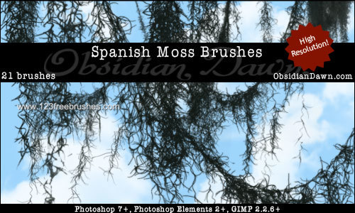 spanish moss download