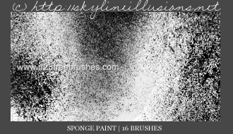 Sponge Paint