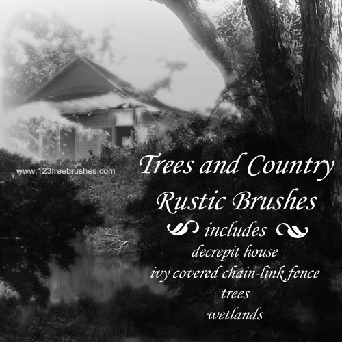 Trees – Country Rustic
