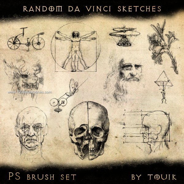 Da Vinci Body Sketches