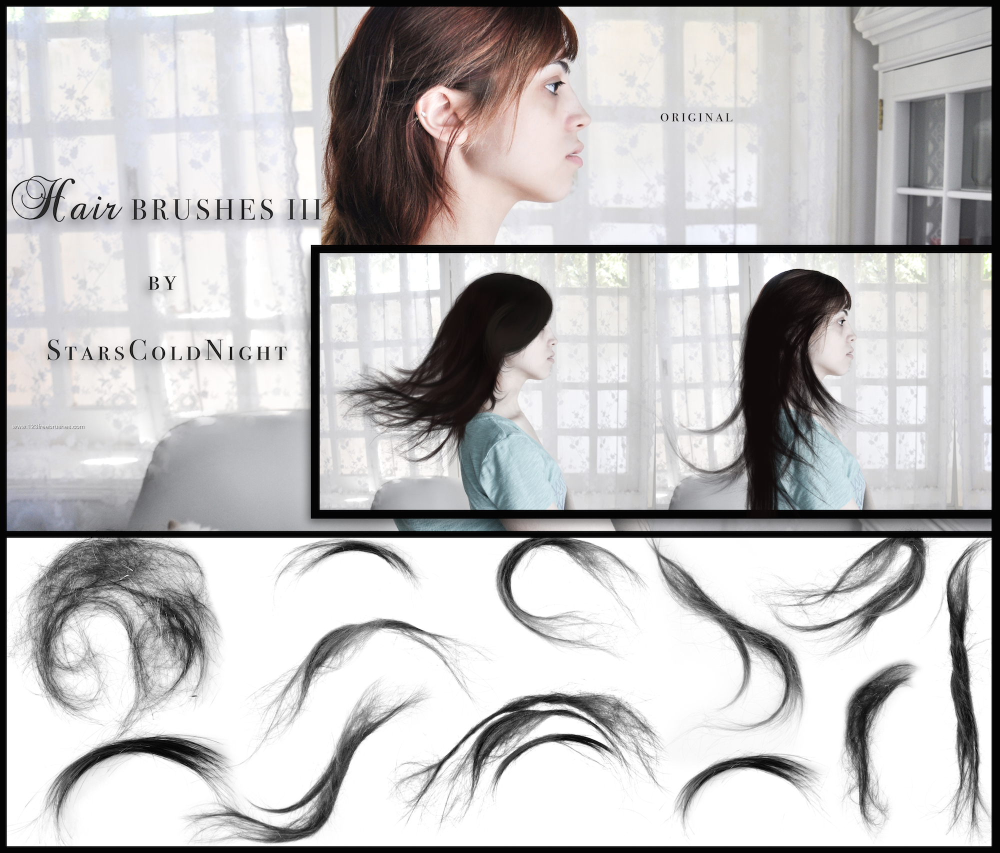 hair brush illustrator cs5 free download