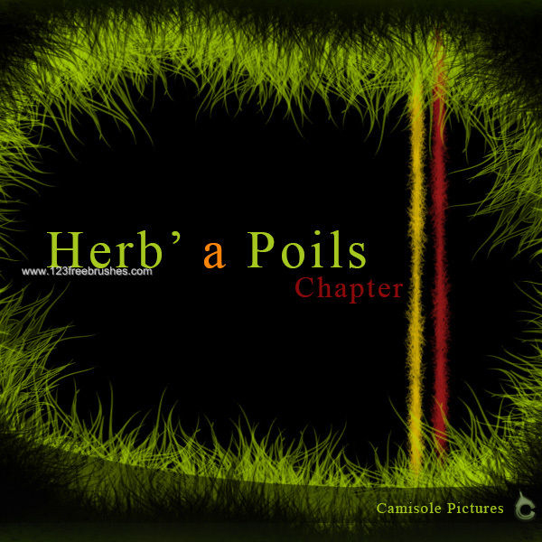 Herbe a Poils – Make Grass and Hair