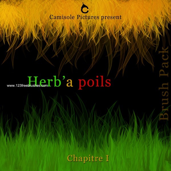 Herbe a Poils – Make Grass and Hair