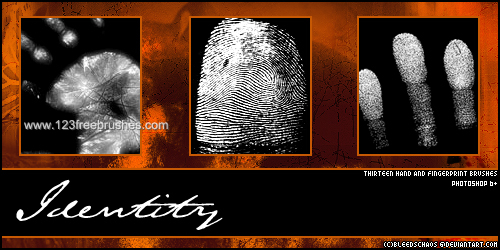 Identity Fingerprint