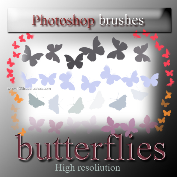 Butterflies High Resolution