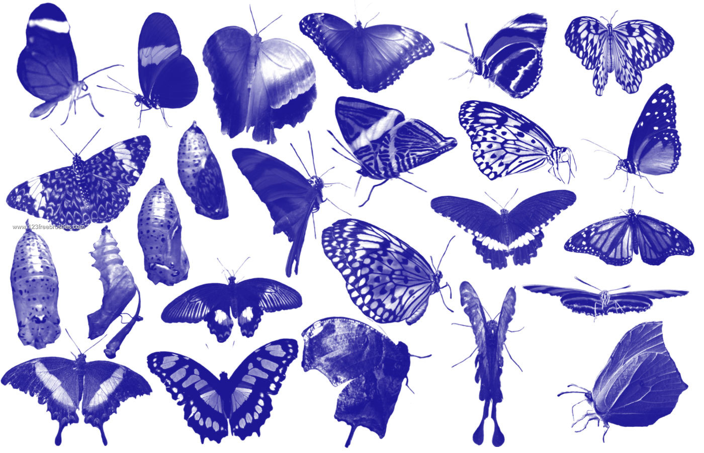 butterfly brushes photoshop free download