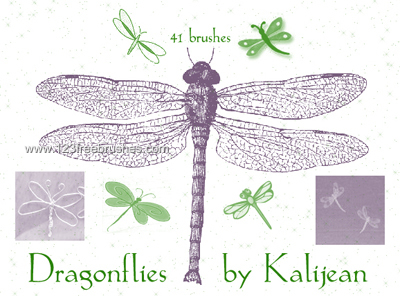 Dragonflies