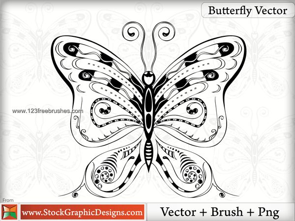 Hand Drawn Vector Butterfly