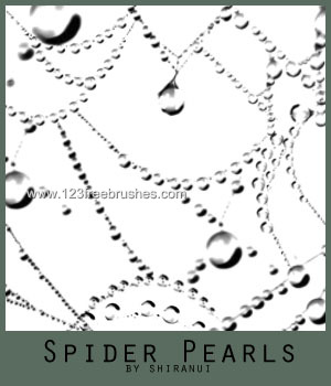 Spider Pearls