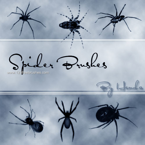 Spider Silhouettes