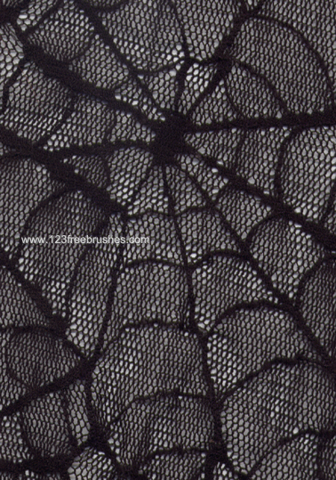 Spider Web Net
