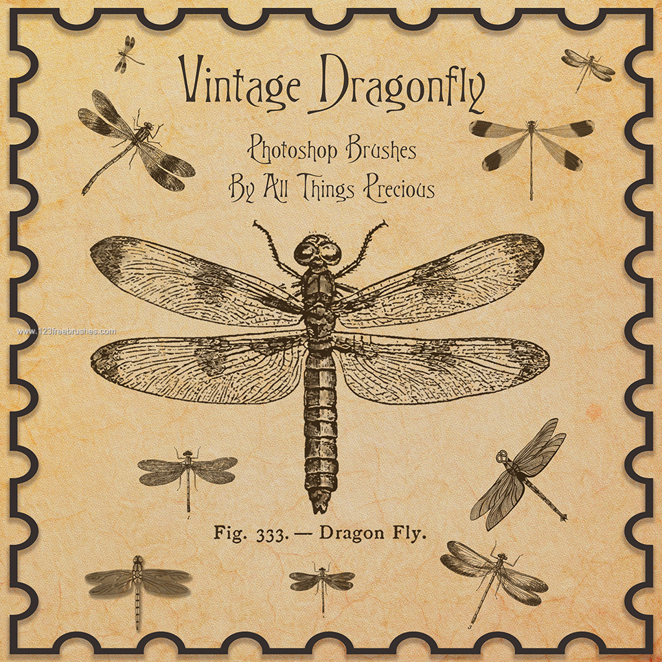 Vintage Dragonfly