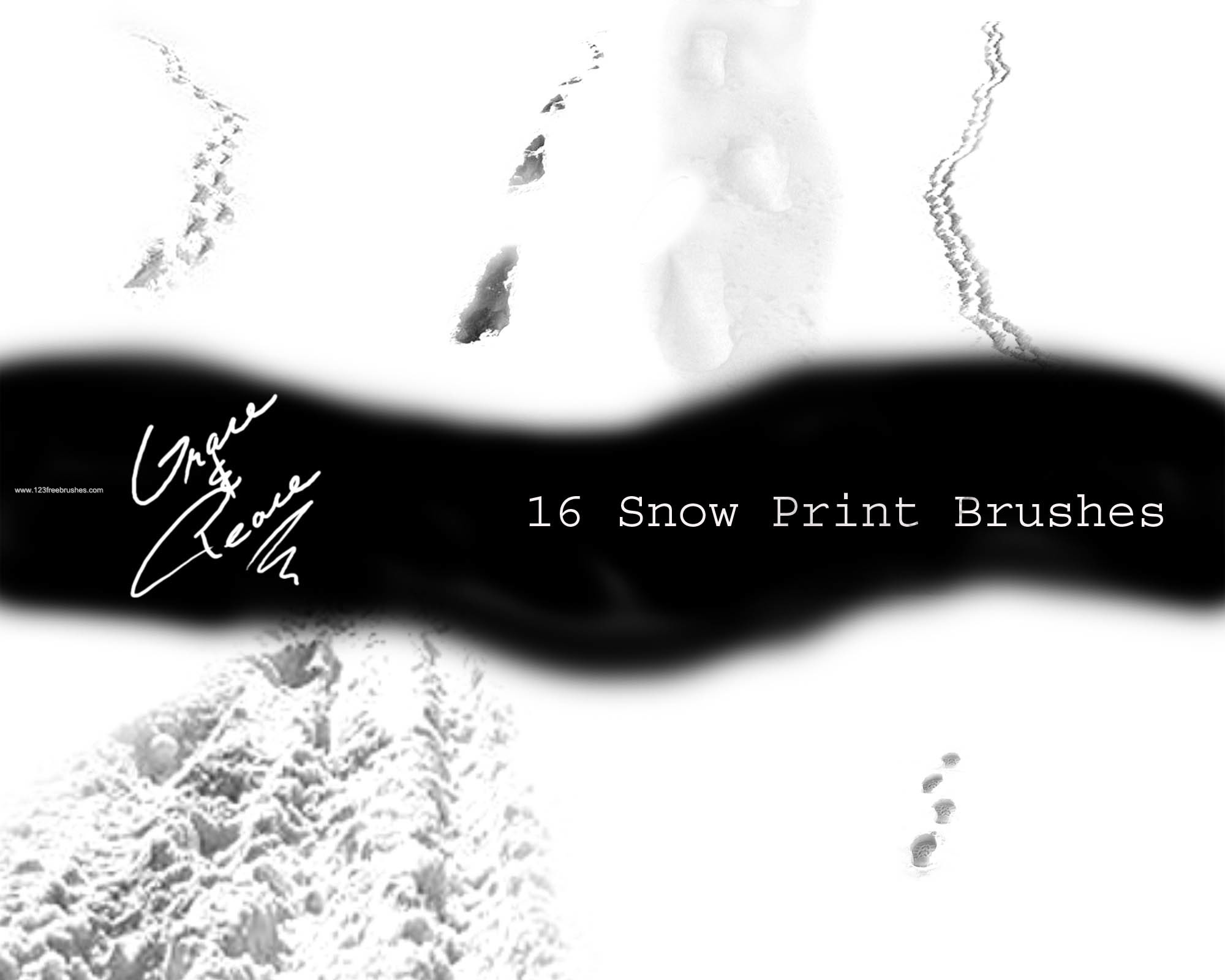 Snow Print