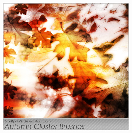 Autumn Cluster
