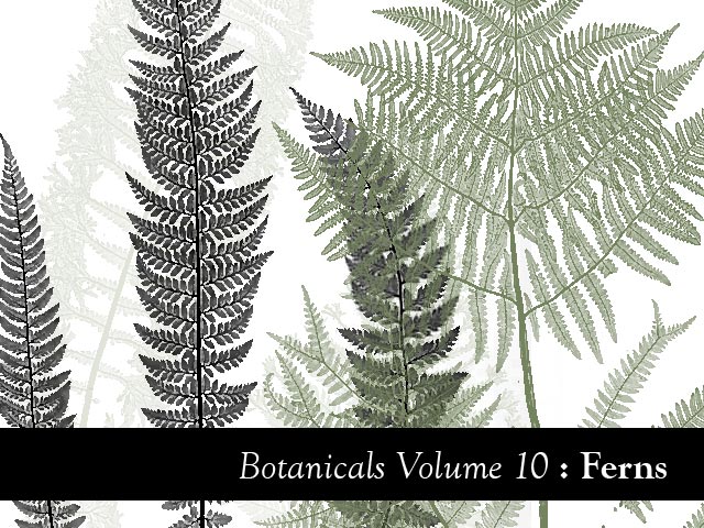 Botanical