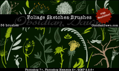 Foliage Sketches