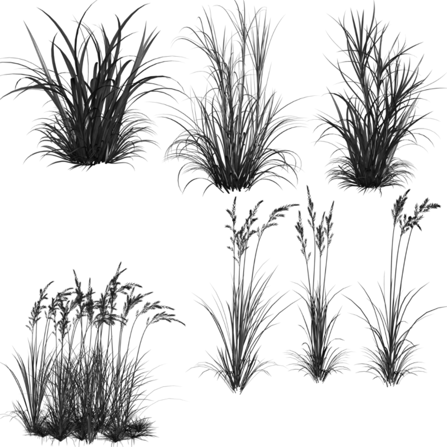 high resolution grass