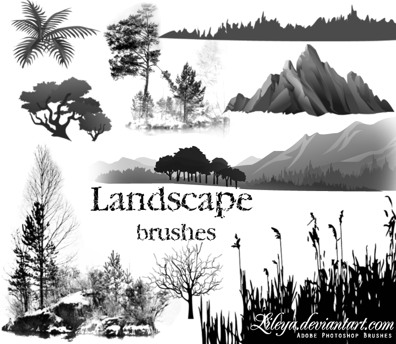 landscape