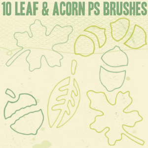 Leaf and Acorn Outline