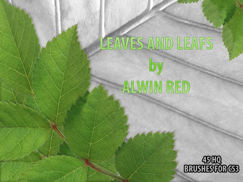 Leaves and leafs