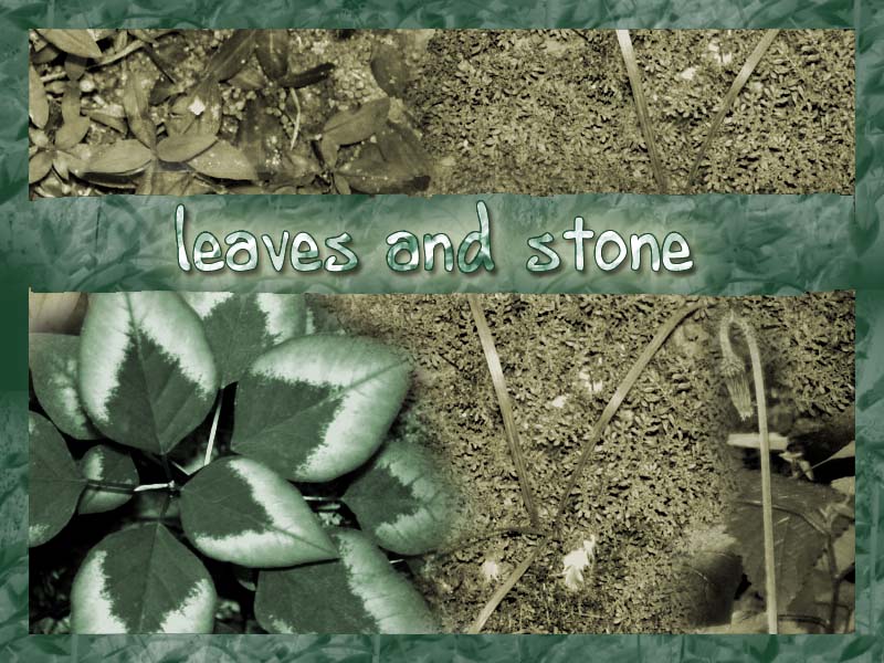 Leaves and Stone