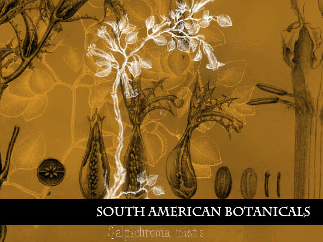 South American Botanicals