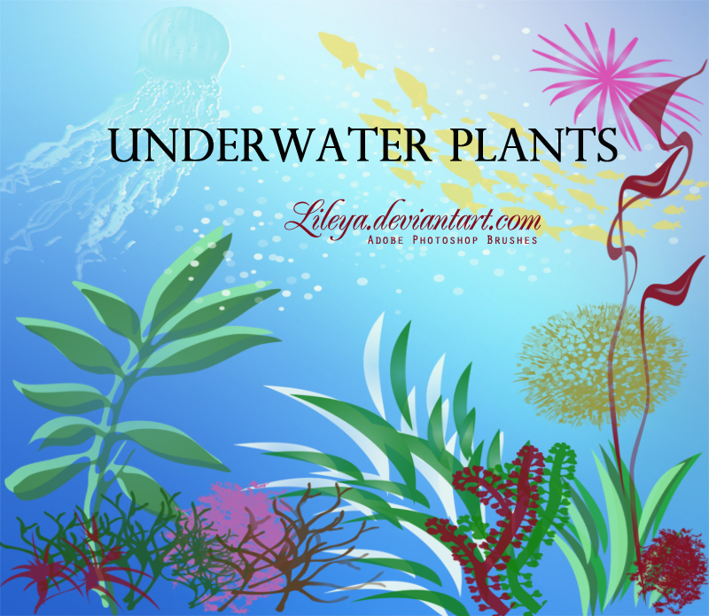 Underwater Plants