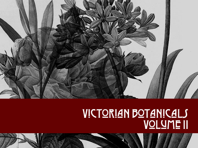 Victorian Botanicals