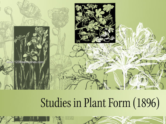 Studies in Plant Form