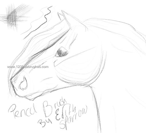 Pencil Drawing Horse