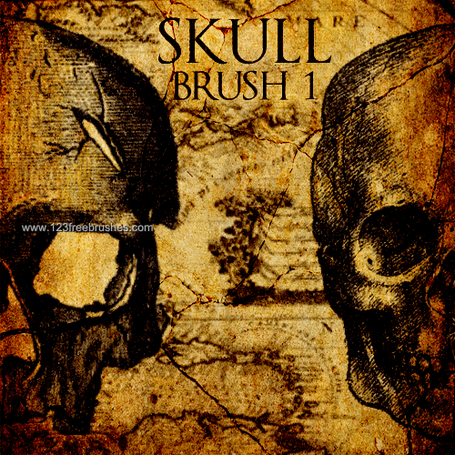 Old Grunge Skull