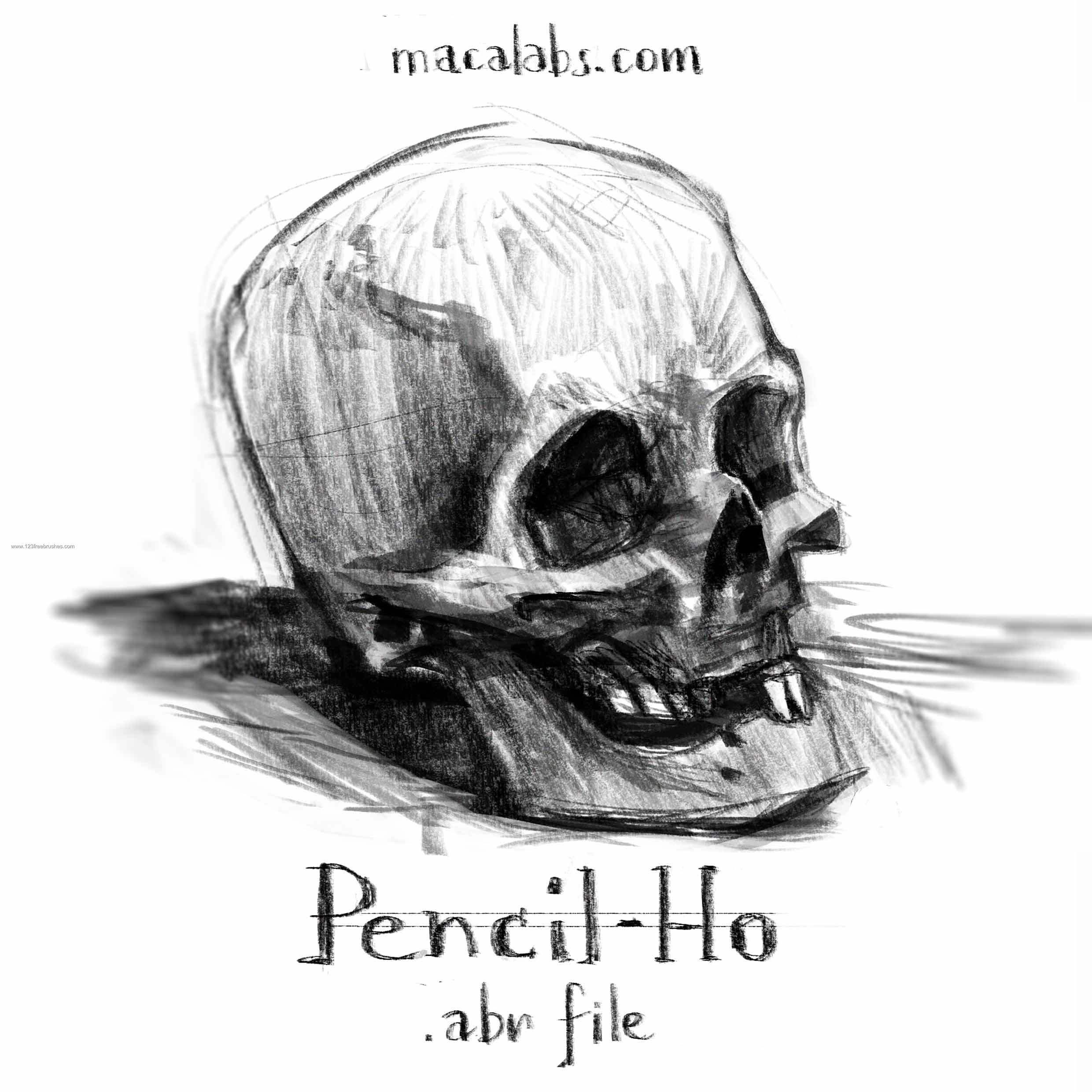 Pencil Drawing Skull