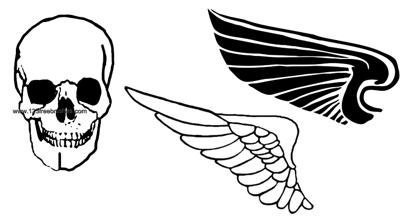 Skull and Wings Skull and Wings