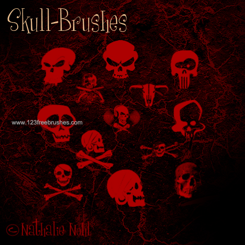 Skull – Crossbones