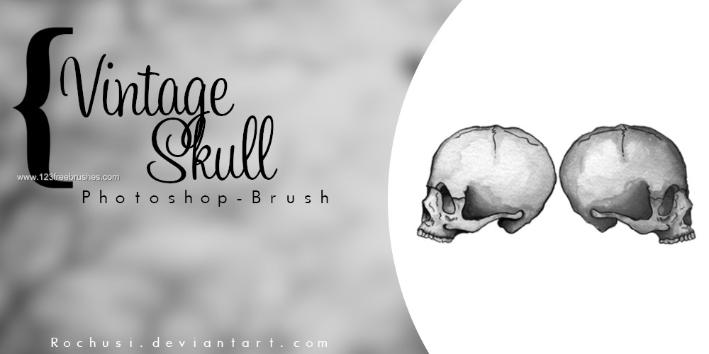 Vintage Skull