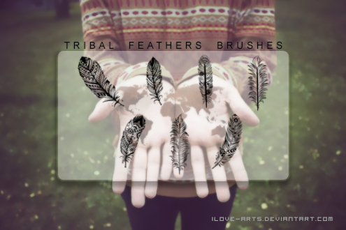 Photoshop Free Tribal feathers Brushes