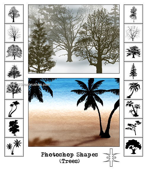 Palm Tree Shapes