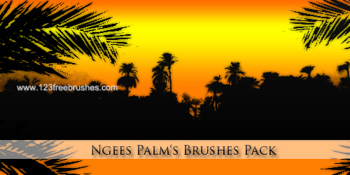 Palm Tree Silhouettes