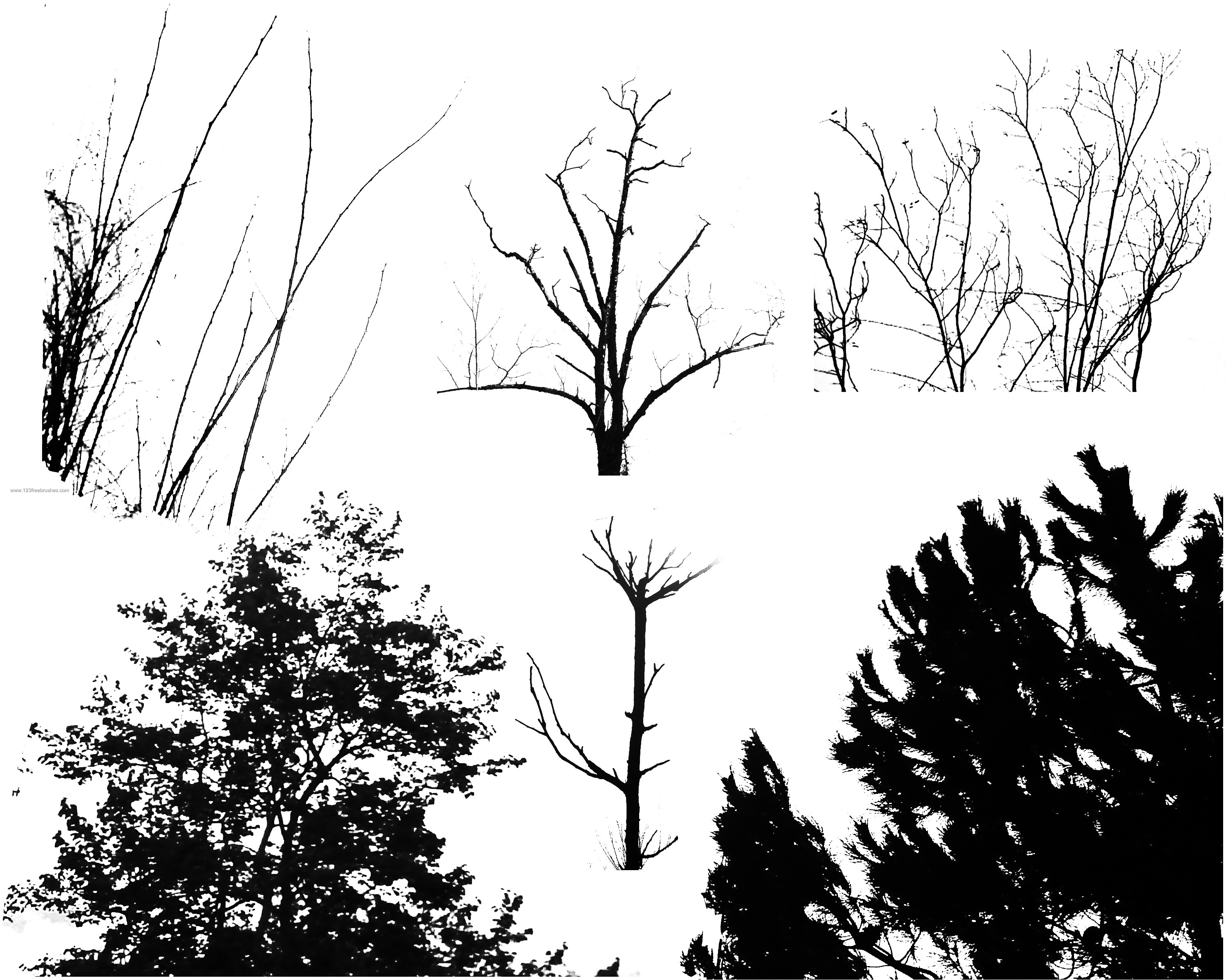 Кисть деревья в плане фотошоп