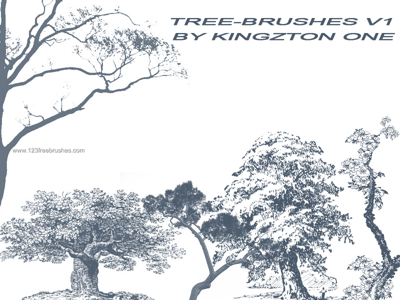 Tree Silhouettes