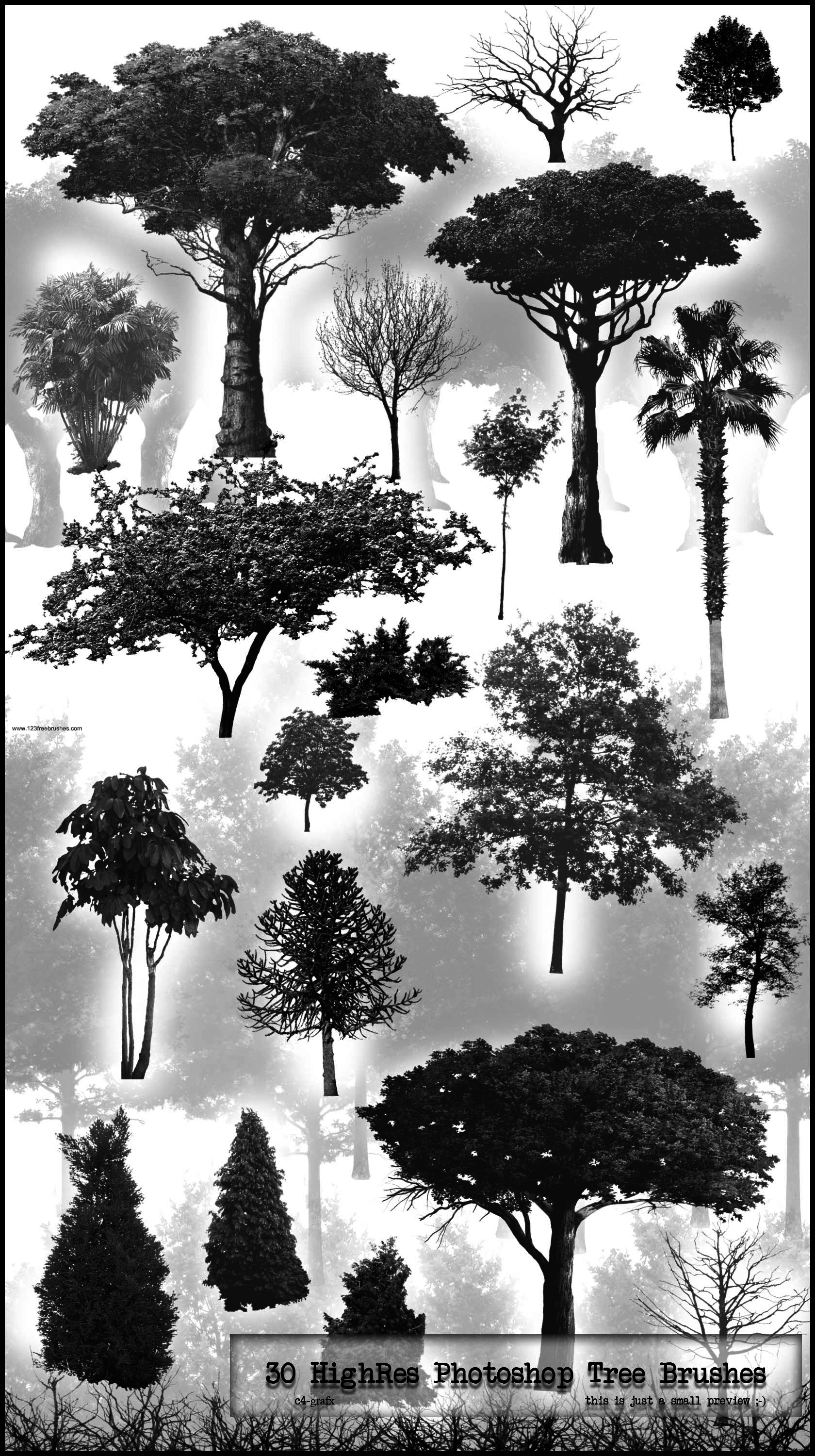 Tree Silhouettes