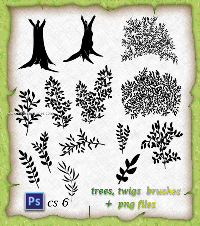 Trees and Twigs