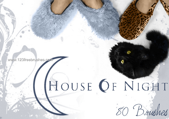 House of Night