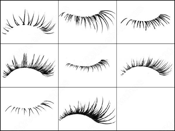 brush eyelashes photoshop download