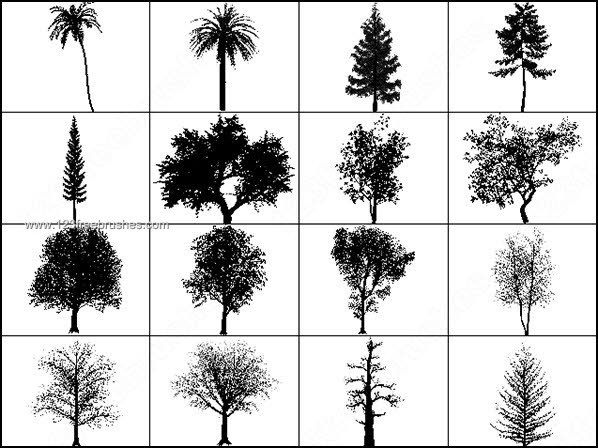 Free Photoshop Brushes Tree